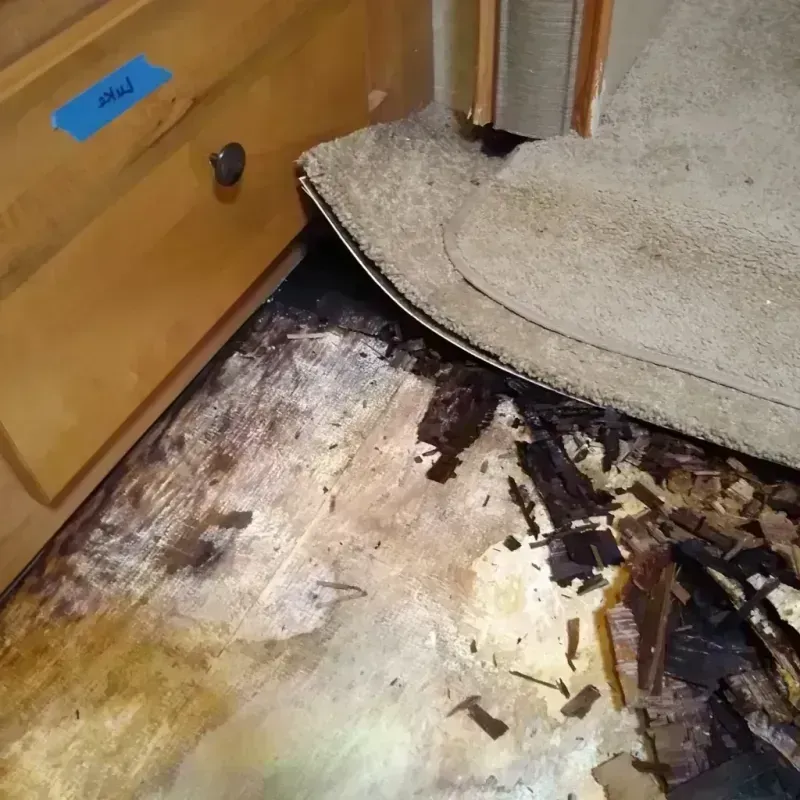 Wood Floor Water Damage in Fairmont City, IL